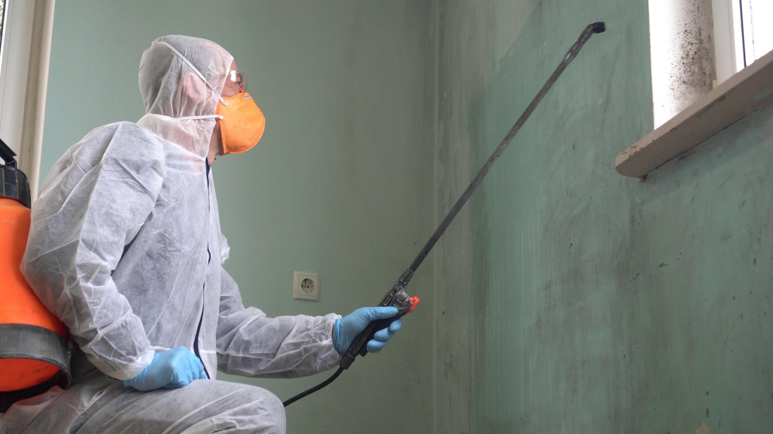 digital marketing for mold inspectors